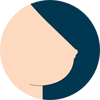 Fest (Standard)