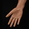 Hardened-Hand–2