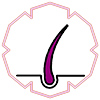 Haarimplantate